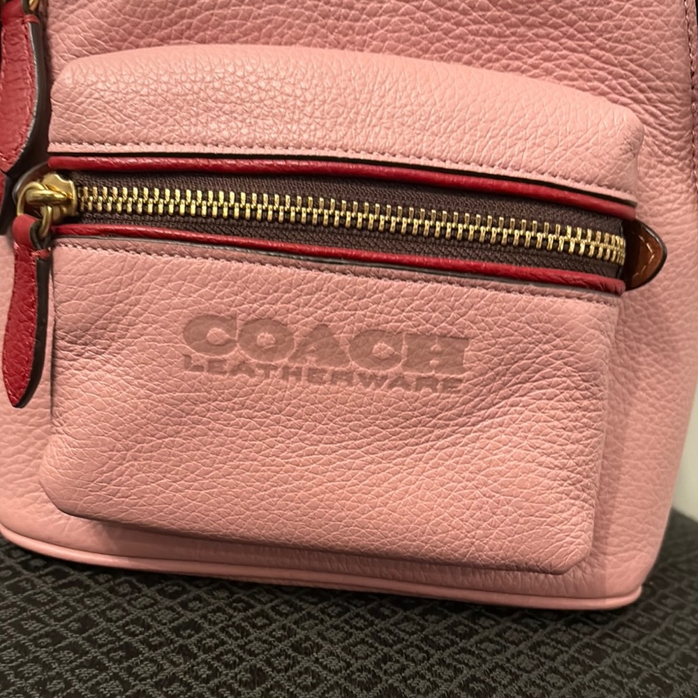 Coach Pink and Orange Leather Backpack - Picture 2 of 10